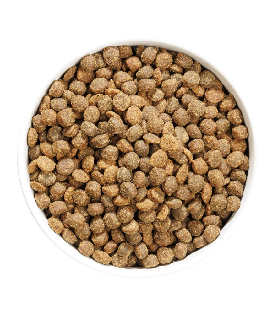 Ownat Author Junior Fresh Chicken pienso para perros de pollo