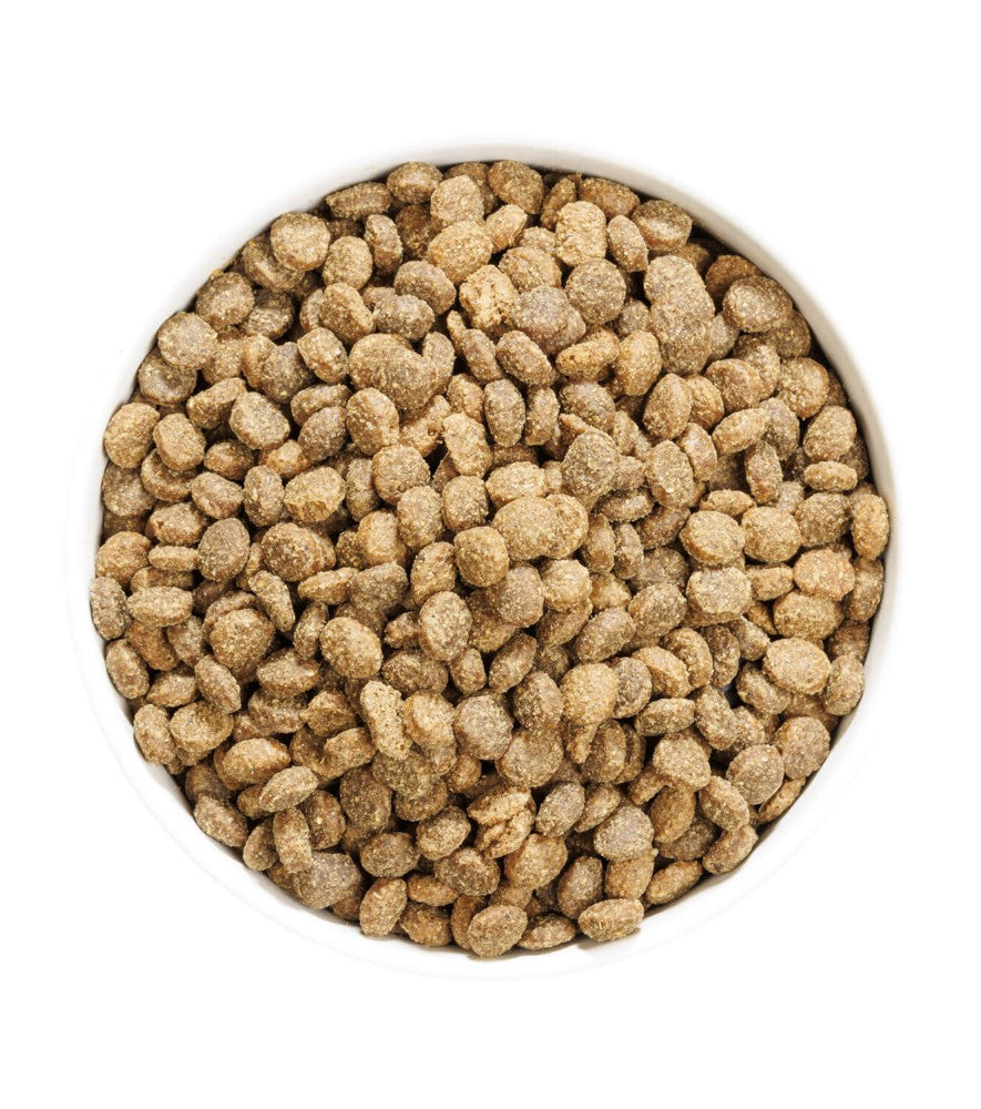 Ownat Author Fresh Lamb&Pork pienso para perros de cordero y cerdo