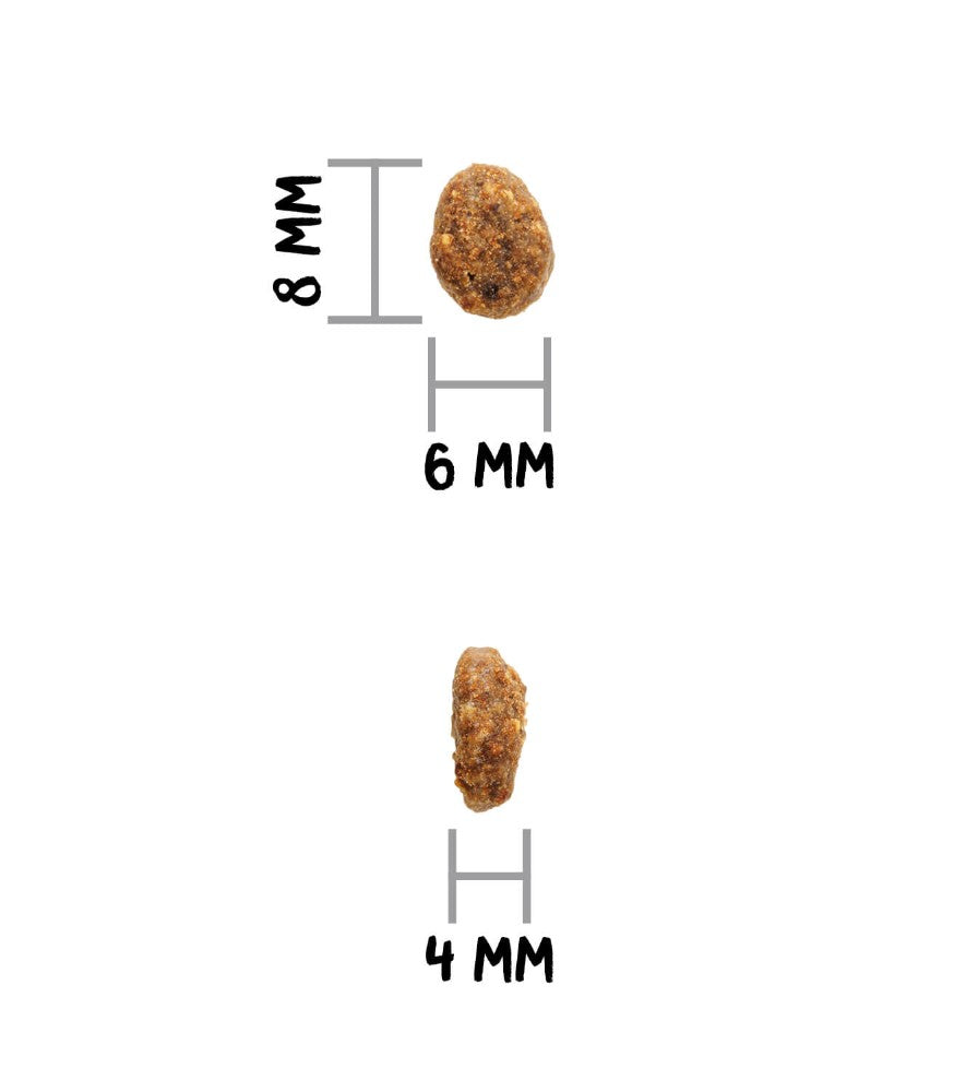 Ownat Author Streilized Fresh Chicken pienso para gatos esterilizados de pollo
