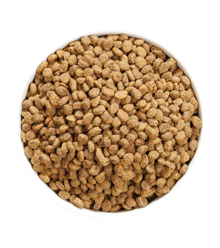Ownat Author Streilized Fresh Chicken pienso para gatos esterilizados de pollo