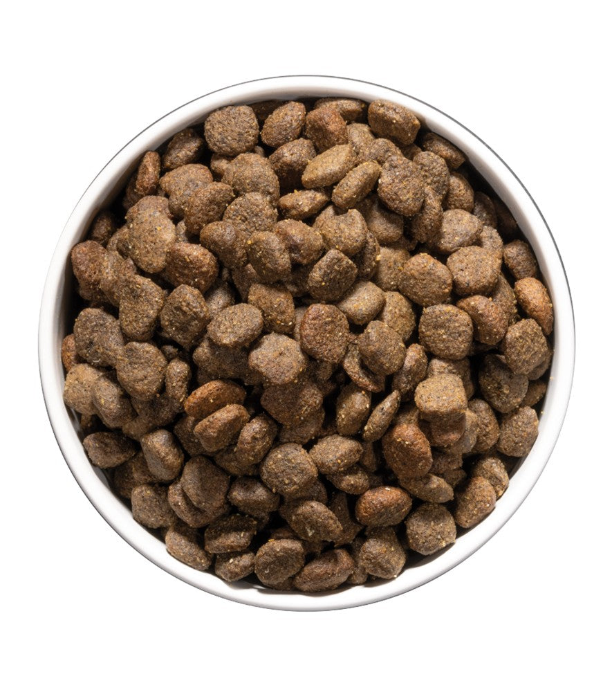Ownat Care Digestive pienso para perros con problemas digestivos