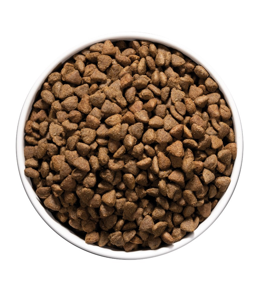 Ownat Care Hypoallergenic pienso para gatos hipoalergénicos
