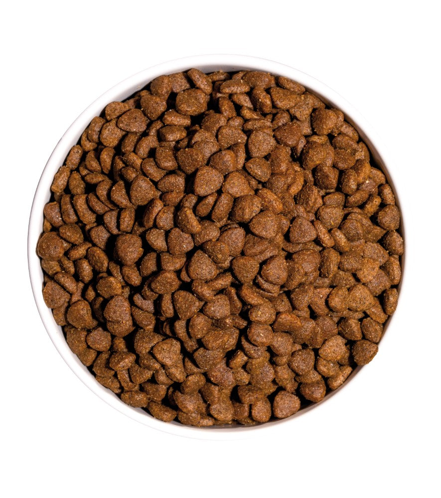 Ownat Classic Kitten pienso para gatitos