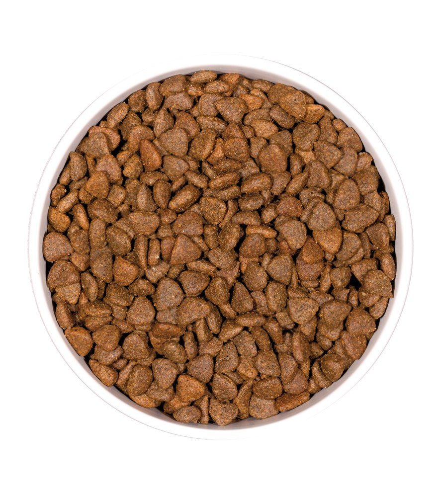 Ownat Prime Grain Free Kitten pienso para gatitos de pollo sin cereales